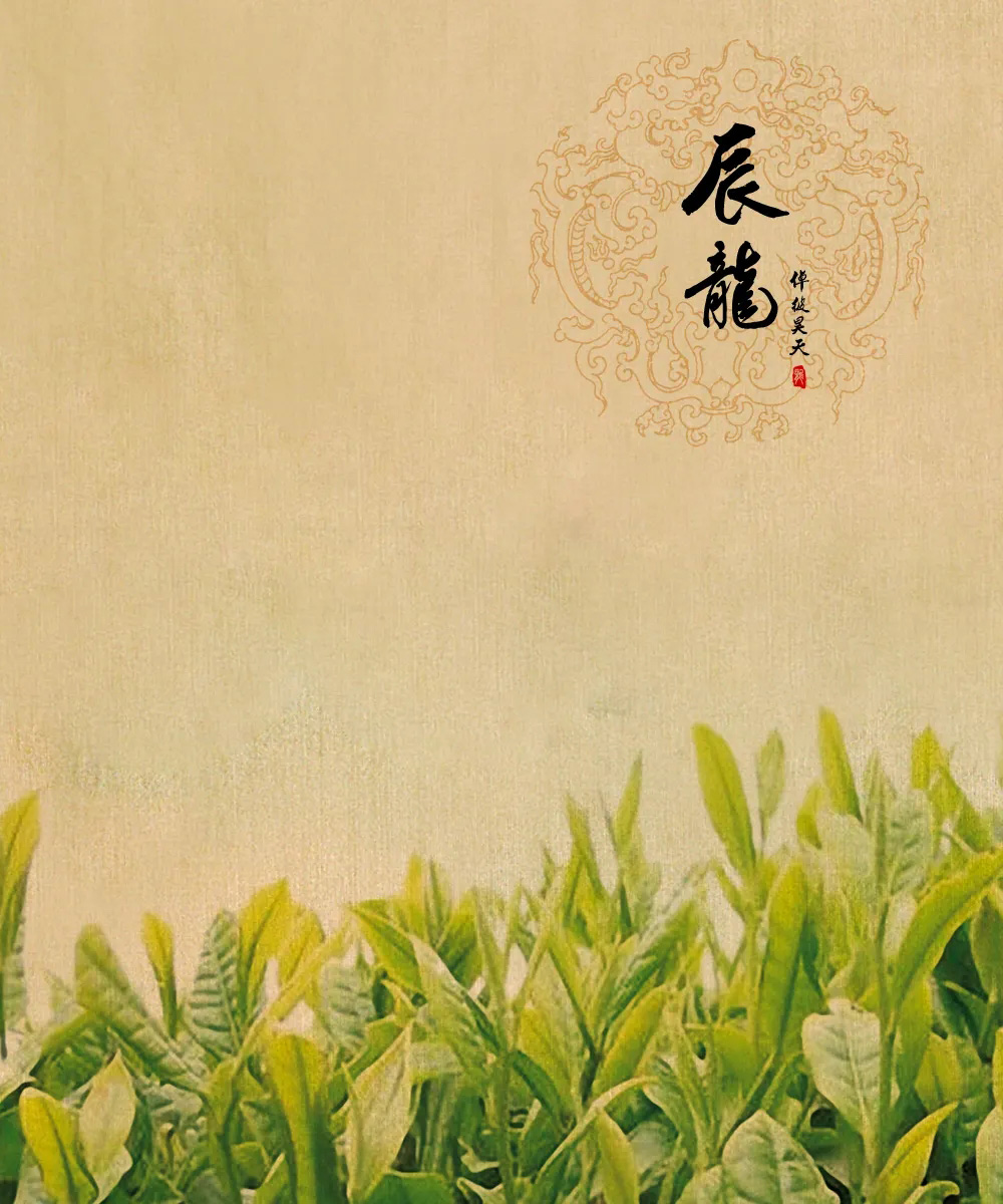 枕上听松语